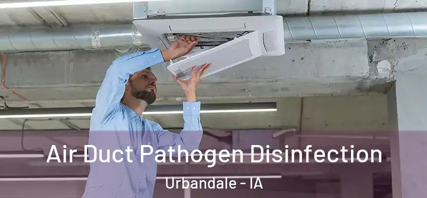 Air Duct Pathogen Disinfection Urbandale - IA