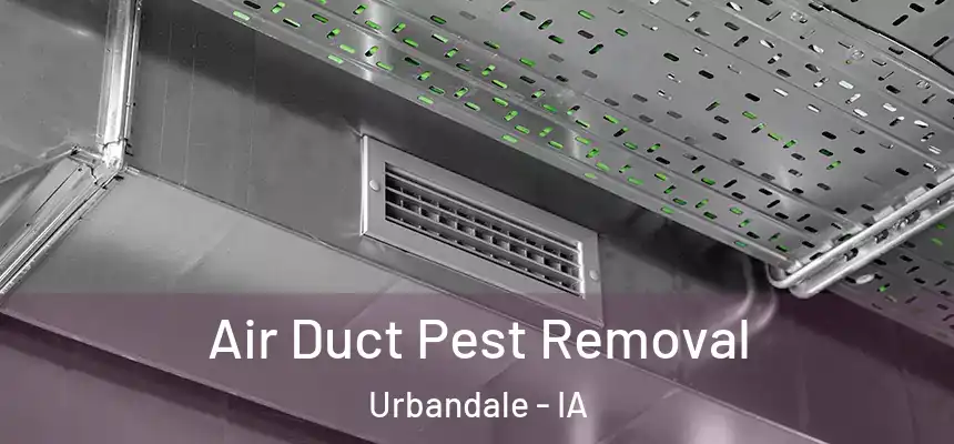 Air Duct Pest Removal Urbandale - IA