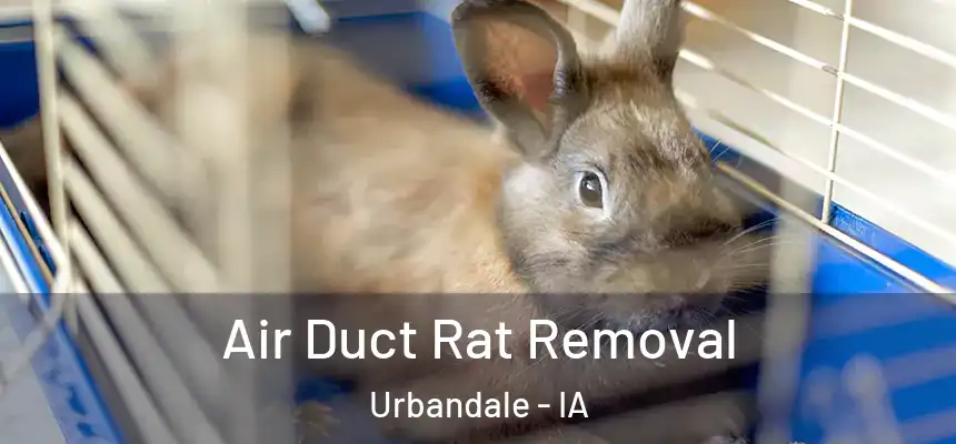 Air Duct Rat Removal Urbandale - IA