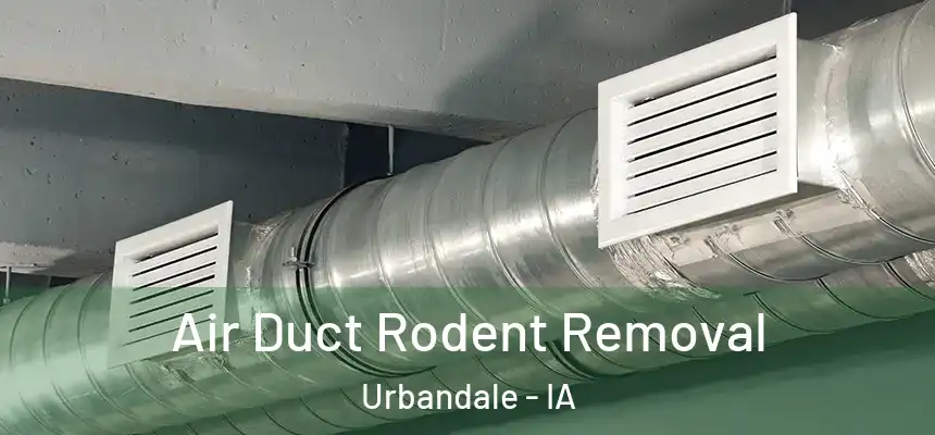 Air Duct Rodent Removal Urbandale - IA
