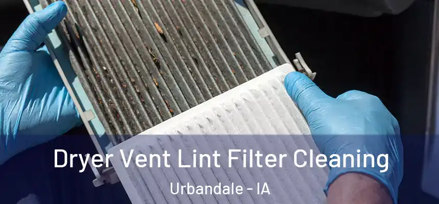 Dryer Vent Lint Filter Cleaning Urbandale - IA