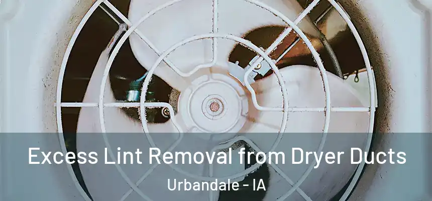 Excess Lint Removal from Dryer Ducts Urbandale - IA
