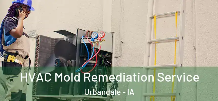  HVAC Mold Remediation Service Urbandale - IA