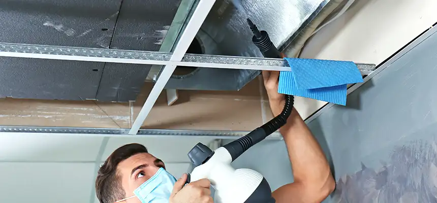 Our Air Duct Rodent Removal Services in Urbandale, IA