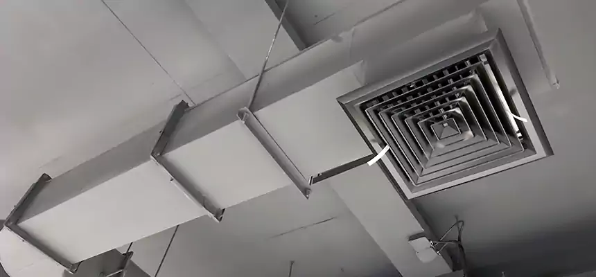 Our Pest Removal From Ducts Services in Urbandale, IA