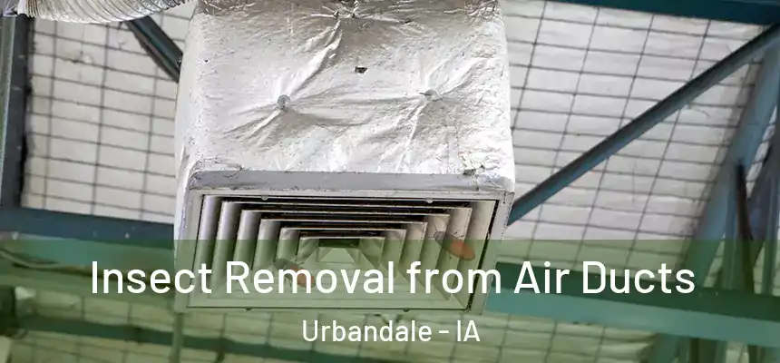 Insect Removal from Air Ducts Urbandale - IA