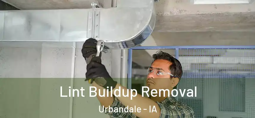  Lint Buildup Removal Urbandale - IA