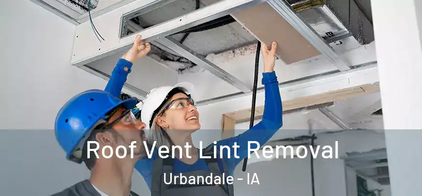  Roof Vent Lint Removal Urbandale - IA