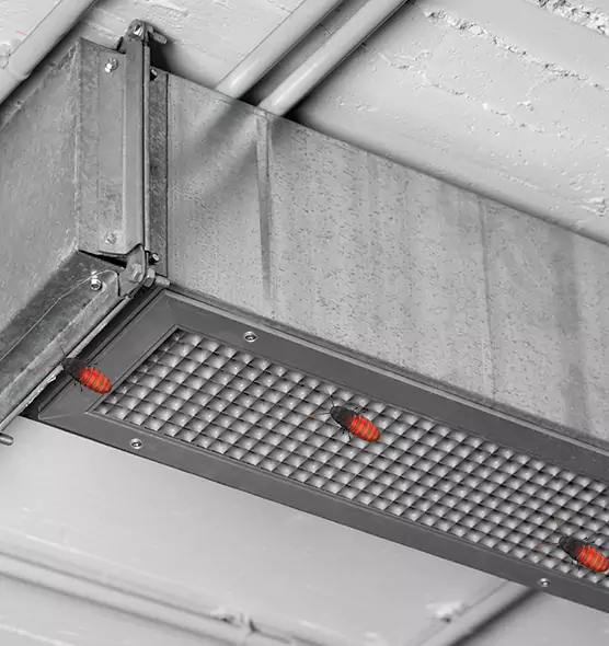 About Air Duct Cockroach Removal in Urbandale, IA