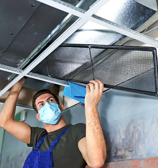 Professional Air Duct Pollen Cleaning in Urbandale, IA