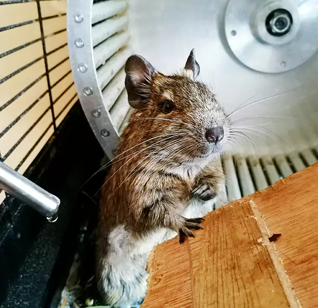 Why Homeowners & Businesses Trust Us Urbandale, IA