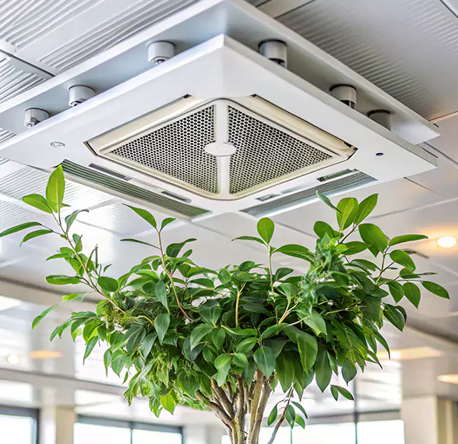 Why Homeowners & Businesses Trust Us in Urbandale, IA?