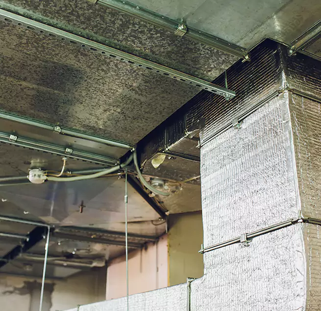 Why Homeowners & Businesses Trust Us in Urbandale, IA?