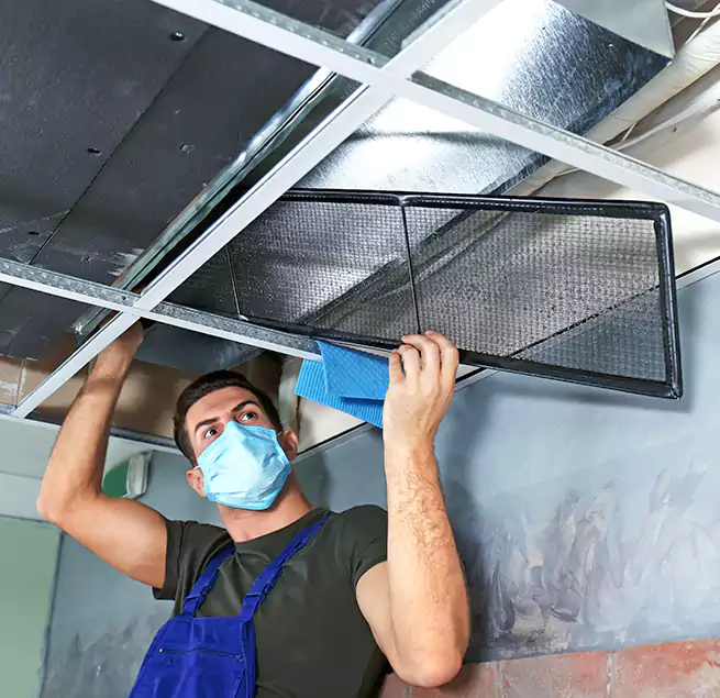 Why Homeowners Businesses Trust Us in Urbandale, IA